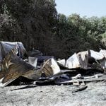 article image - 